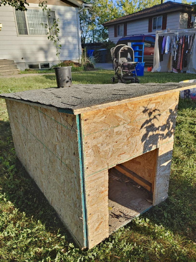 Clothing!  Toys!  Low prices!