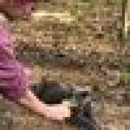 Nautalyss Wunderlich