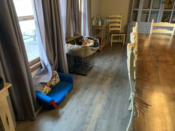 Huge moving sale!! Need it gone!