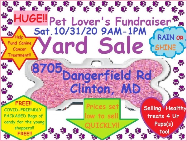 TONS OF VARIETY - Fundraising Yard Sale for Cost of Pup's Canine Cancer Surgery & Aftercare  - Group of Pet Lovers Collected & Combined Sale Items